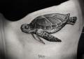 Koldaki kaplumbağa dövmesinin anlamı Kaplumbağa