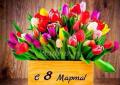 Tulip: legenda, kepercayaan, cerita untuk anak-anak dan sejarah bunga!